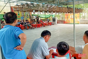 Sự tàn nhẫn phía sau những giải đấu chim