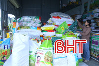 Vì sao giá giống lúa xuân ở Hà Tĩnh cao hơn thị trường ngoại tỉnh?