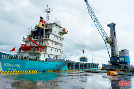 Doanh nghiệp ở Khu kinh tế Vũng Áng giữ nhịp sản xuất 