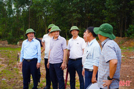 Tăng tốc giải phóng mặt bằng các dự án động lực ở phường phía Nam Hà Tĩnh