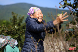 Khai thác lợi thế địa phương, Hoành Sơn đẩy nhanh mục tiêu giảm nghèo 