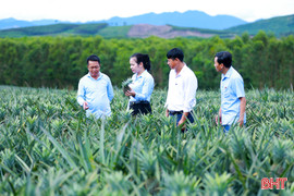 Kỳ Hoa vững tin trên hành trình mới