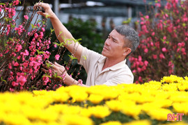 Rực rỡ sắc xuân ở đô thị trung tâm phía Nam Hà Tĩnh