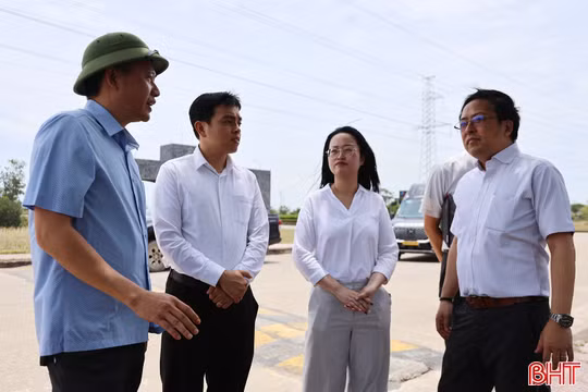 Mirabo Global và đối tác Nhật Bản khảo sát, tìm kiếm cơ hội đầu tư tại Vũng Áng