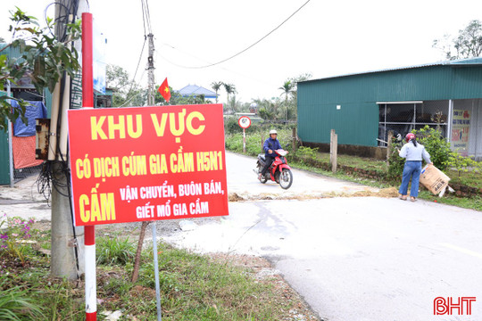 Ráo riết phòng chống dịch gia cầm H5N1 từ “ổ dịch” Cẩm Xuyên