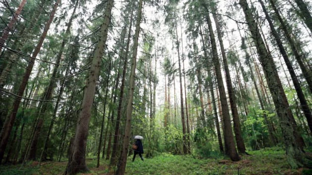 Vì sao Đan Mạch, Phần Lan hạnh phúc nhất thế giới?