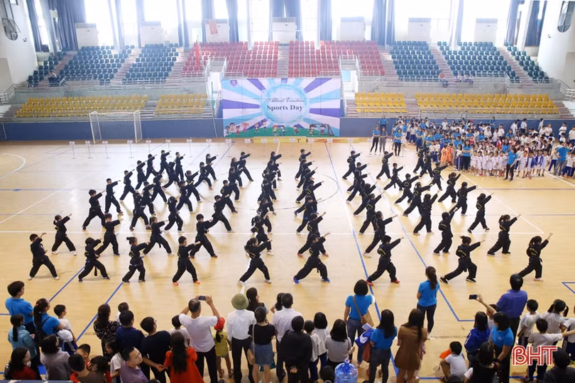 Vui khỏe ngày hội thể thao Trường Albert Einstein