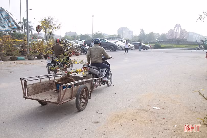 Kiếm tiền triệu từ nghề “mỗi năm chỉ có một lần” ở Hà Tĩnh