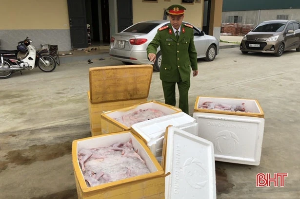 Bắt giữ xe giường nằm chở 6 tạ thịt mèo bốc mùi hôi thối