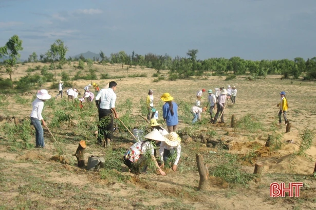 Đạo diễn phim “Về nhà đi con”: “Hà Tĩnh là một phần máu thịt”