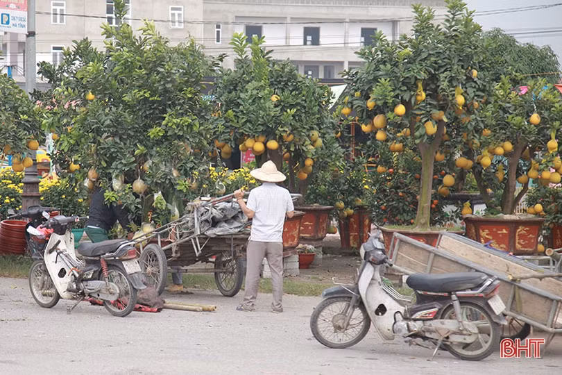 Kiếm tiền triệu từ nghề “mỗi năm chỉ có một lần” ở Hà Tĩnh