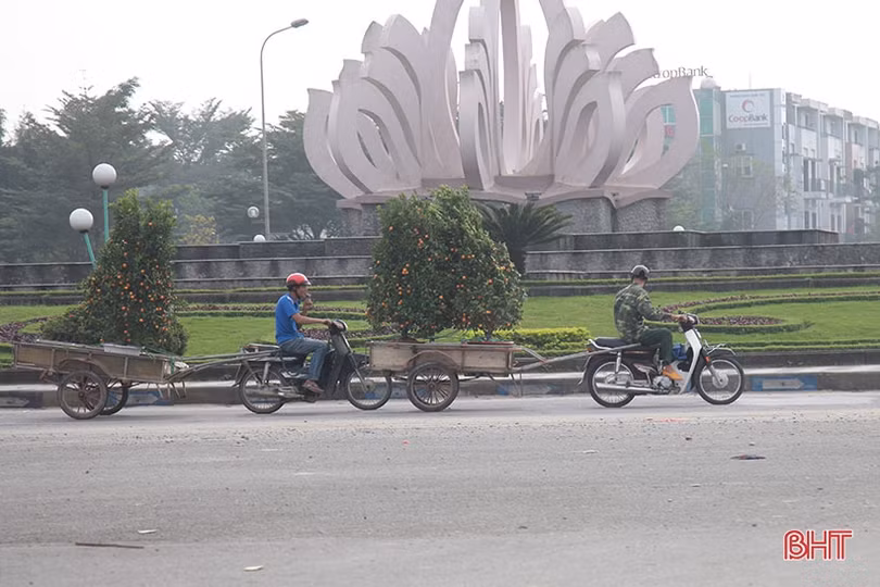 Kiếm tiền triệu từ nghề “mỗi năm chỉ có một lần” ở Hà Tĩnh