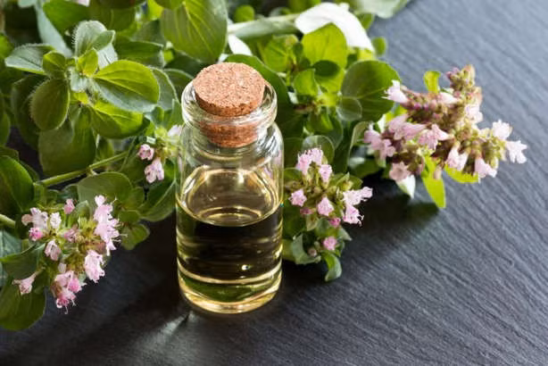 9 mẹo đơn giản chữa viêm xoang tại nhà