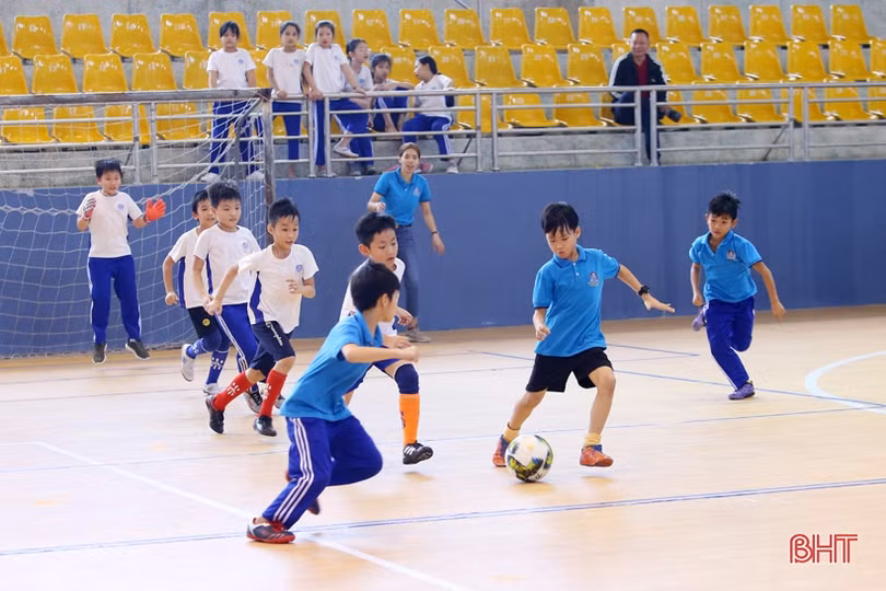 Vui khỏe ngày hội thể thao Trường Albert Einstein