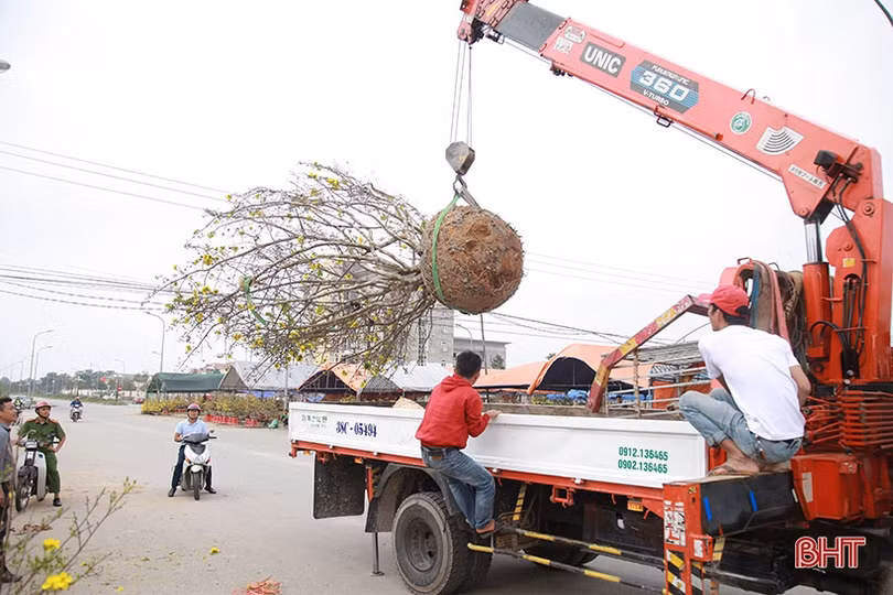 Kiếm tiền triệu từ nghề “mỗi năm chỉ có một lần” ở Hà Tĩnh