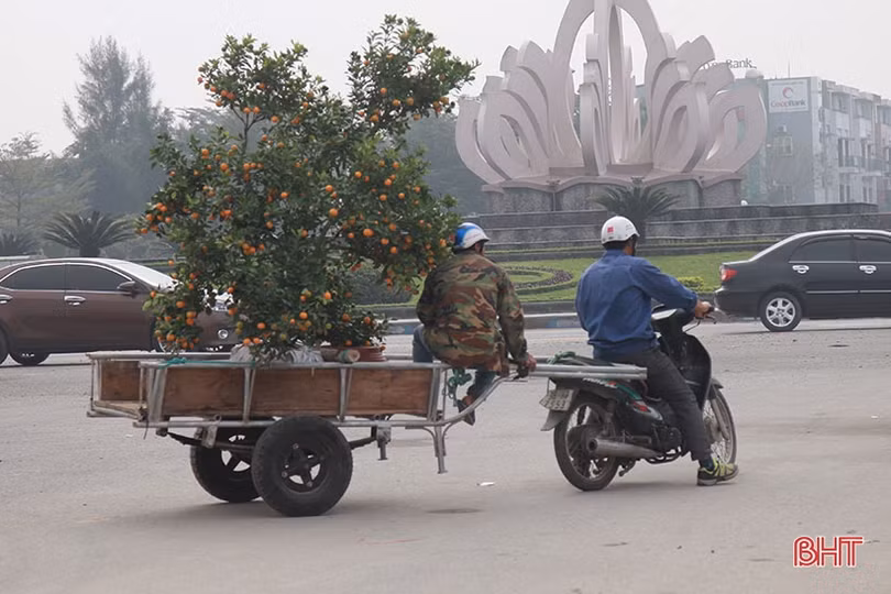 Kiếm tiền triệu từ nghề “mỗi năm chỉ có một lần” ở Hà Tĩnh
