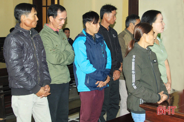 7 “bác thằng bần” lĩnh 50 tháng tù, nộp phạt 70 triệu đồng