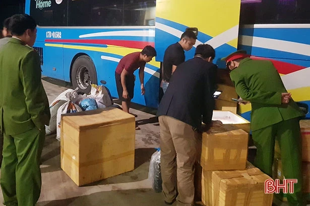 Bắt giữ xe giường nằm chở 6 tạ thịt mèo bốc mùi hôi thối