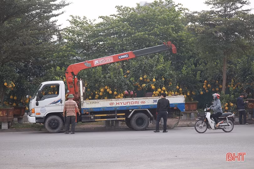 Kiếm tiền triệu từ nghề “mỗi năm chỉ có một lần” ở Hà Tĩnh