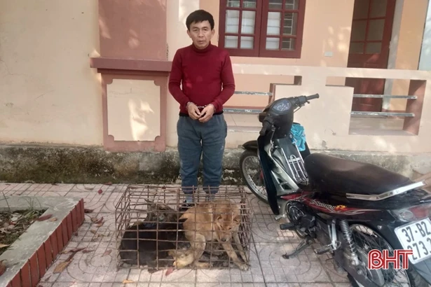 Mới ra tù, U55 lại tiếp tục đi ăn trộm chó