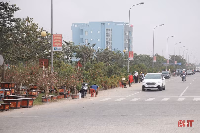 Kiếm tiền triệu từ nghề “mỗi năm chỉ có một lần” ở Hà Tĩnh