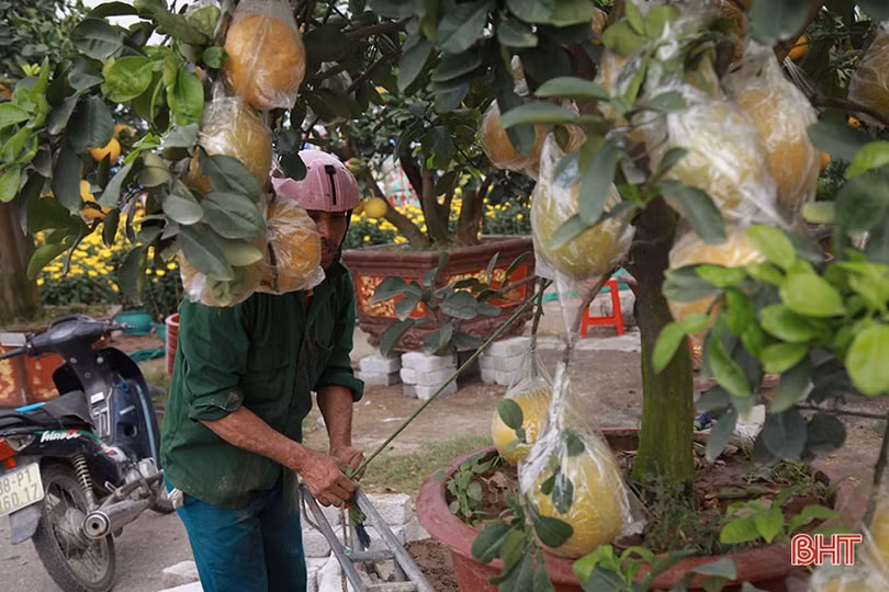 Kiếm tiền triệu từ nghề “mỗi năm chỉ có một lần” ở Hà Tĩnh