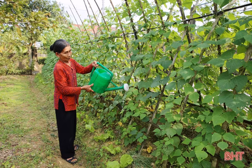 Thành phố Hà Tĩnh náo nức vào xuân