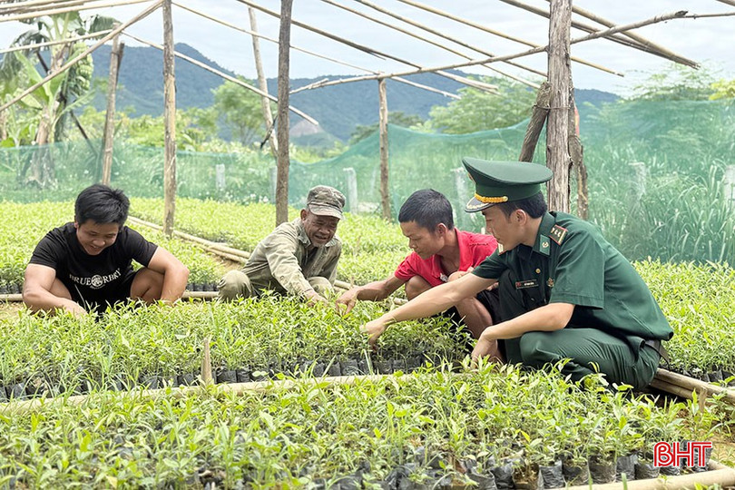 Các chiến sĩ Bộ đội Biên phòng Đồn Bản Giàng đã ươm khoảng 1.000 cây trầm hương để cấp miễn phí cho bà con. bqbht_br_1.jpg