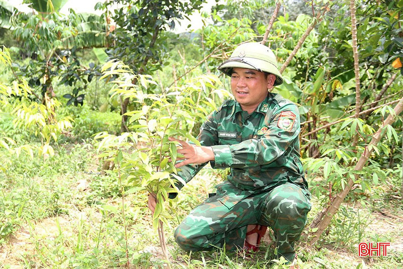 Mô hình trồng trầm hương đang mở ra triển vọng thoát nghèo bền vững cho bà con dân tộc Chứt. bqbht_br_3.jpg