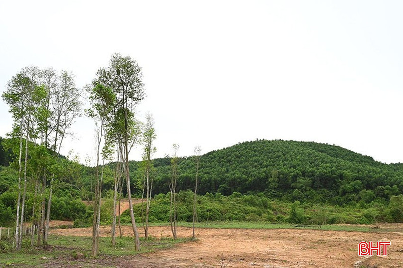 Làng Tân Kiều ngày nay phát triển kinh tế dựa vào sản xuất rừng và trồng cây ăn quả, chăn nuôi (Ảnh Dương Chiến) bqbht_br_6.jpg