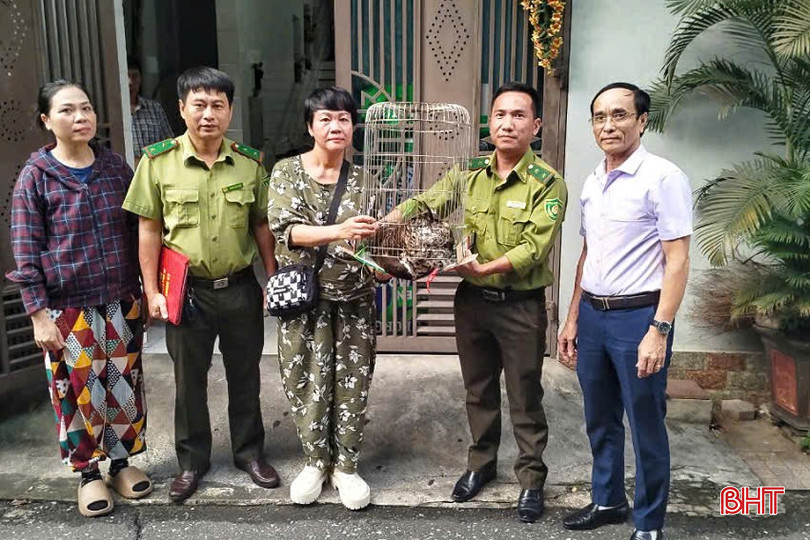 Bà Nguyễn Thị Lê Thu bàn giao cá thể cú mèo cho cơ quan chức năng bqbht_br_99d0a27bbe8805d65c99.jpg
