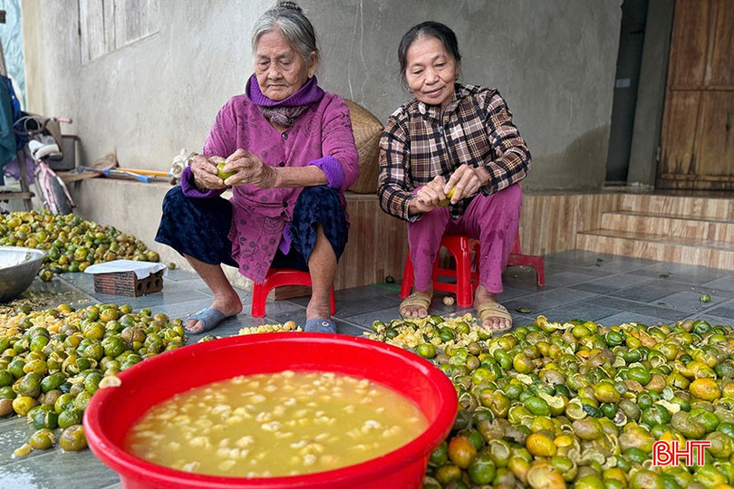 Unable to sell fresh fruit, many households have to collect tangerine peels to dry and sell as medicinal herbs at low prices. bqbht_br_2.jpg
