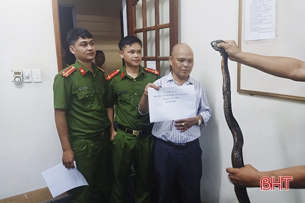Bắt đối tượng vận chuyển 2 cá thể rắn hổ mang chúa nặng 3,4 kg