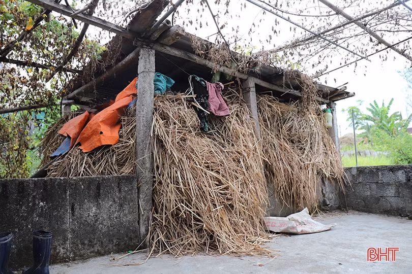 Nơi nông dân Hà Tĩnh xem rơm là vật liệu quý...