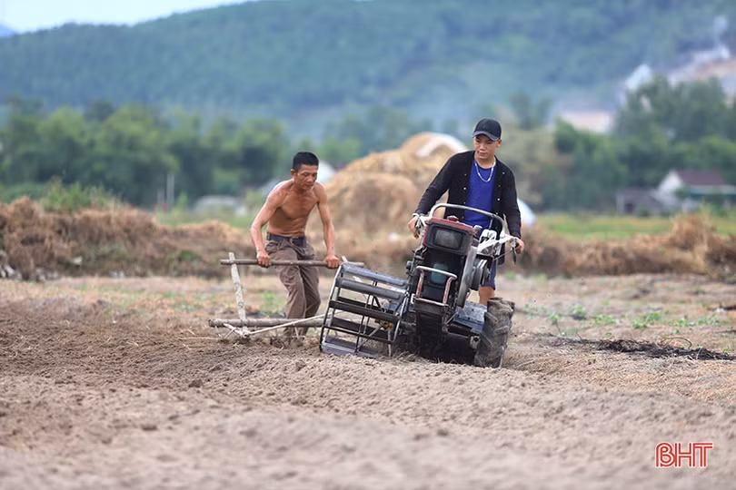 Nơi nông dân Hà Tĩnh xem rơm là vật liệu quý...