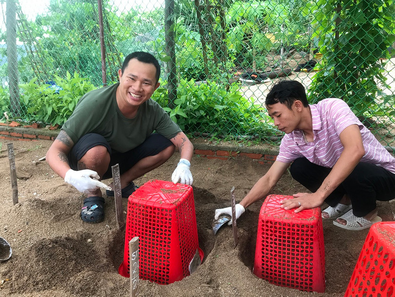 xem rùa đẻ trứng ở côn đảo ảnh 10 Đào trứng để hộ tống rùa con về biển ở Côn Đảo