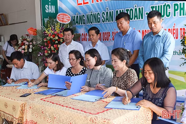 Cửa hàng sản phẩm OCOP đầu tiên ở Can Lộc đi vào hoạt động