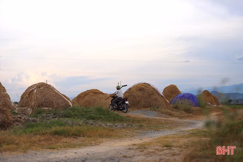 Nơi nông dân Hà Tĩnh xem rơm là vật liệu quý...