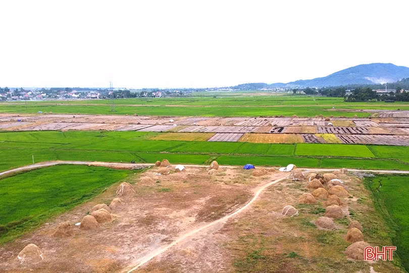 Nơi nông dân Hà Tĩnh xem rơm là vật liệu quý...