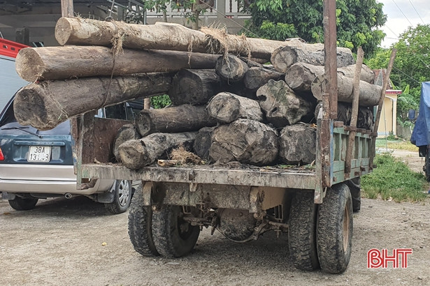 Xe tự chế chở 22 lóng gỗ nhóm 5 - 8 không rõ nguồn gốc ở Hương Sơn