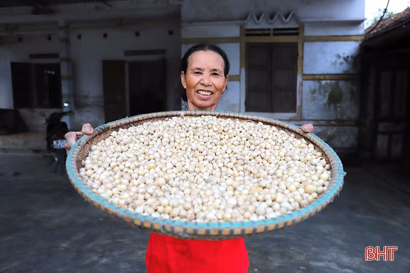 Nơi nông dân Hà Tĩnh xem rơm là vật liệu quý...