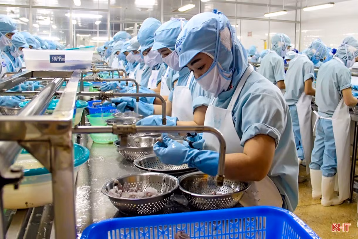 Kim ngạch xuất nhập khẩu Hà Tĩnh hướng đích 3,9 tỷ USD