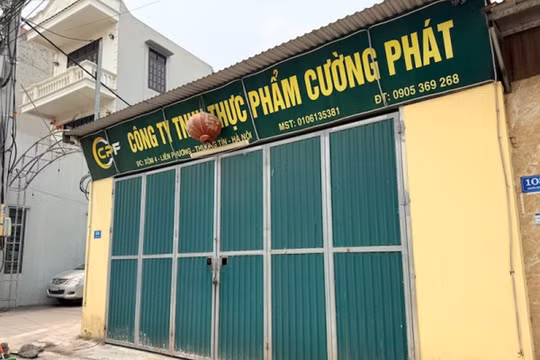 Hành trình triệt phá đường dây giết mổ, tiêu thụ 300 tấn thịt lợn nhiễm dịch tả châu Phi