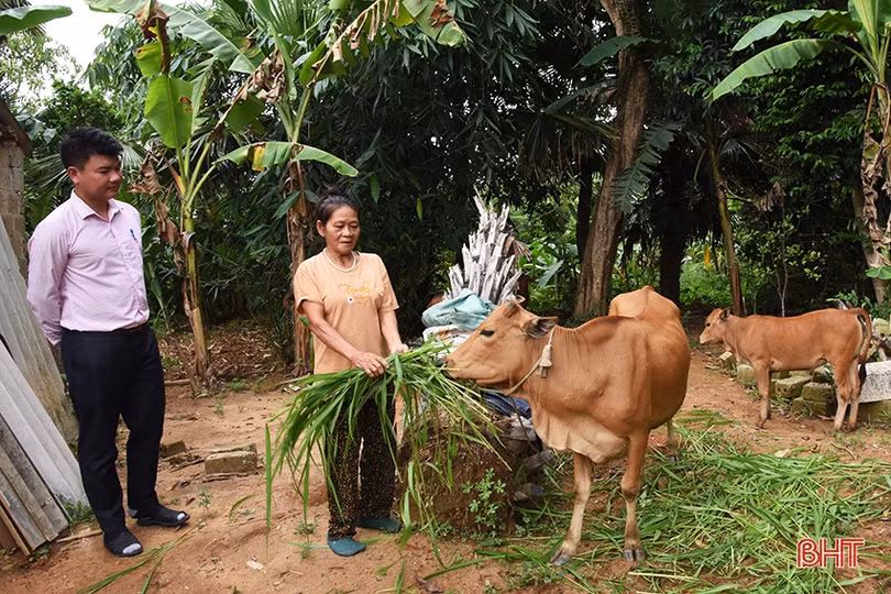Tín dụng ưu đãi thúc đẩy giảm nghèo ở vùng thượng Kỳ Anh