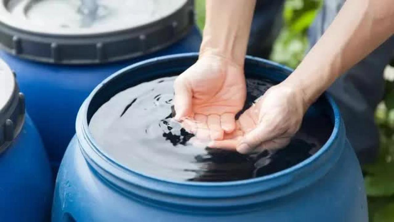 Nước mưa có an toàn để ăn uống?