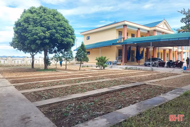 Tất bật chăm vườn rau bán trú ở các trường mầm non