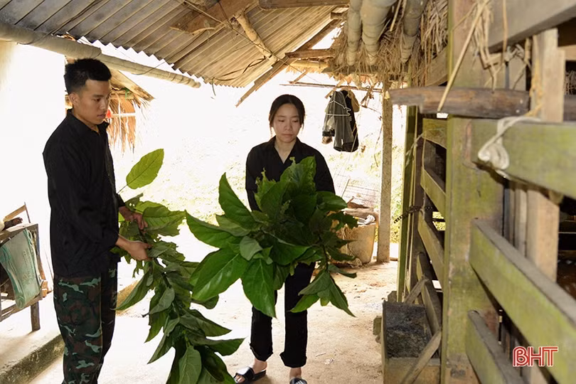 MS 2314: Vừa mãn tang mẹ thì bố đột tử, 3 anh em bơ vơ trong cảnh nghèo khó