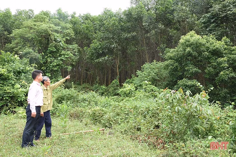 Tín dụng ưu đãi thúc đẩy giảm nghèo ở vùng thượng Kỳ Anh