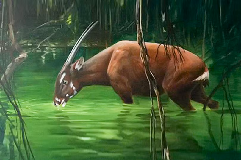 Những cơ hội mới để Hà Tĩnh phát triển du lịch bền vững