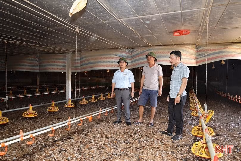 Ngành chuyên môn khuyến cáo gì sau 2 “tai nạn” tại các trang trại nuôi gà ở Hà Tĩnh?
